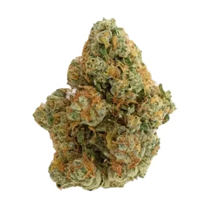 Drapalin 31/1 Da Fux – Produktbild des Anbieters Bloomwell