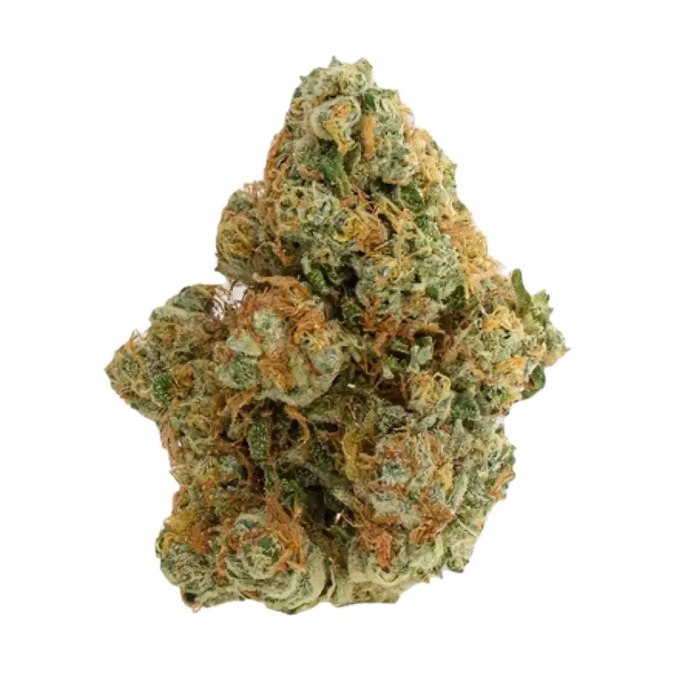 Drapalin 31/1 Da Fux – Produktbild des Anbieters Bloomwell