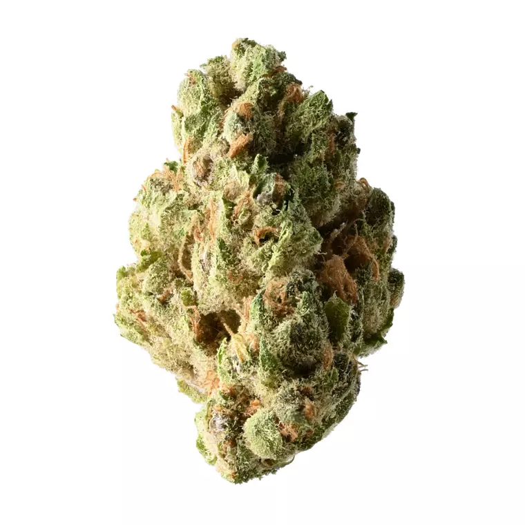 Demecan TM Lean Drop – Produktbild des Anbieters Bloomwell