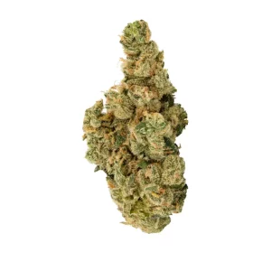 Amici 30/1 UL – Produktbild des Anbieters Bloomwell