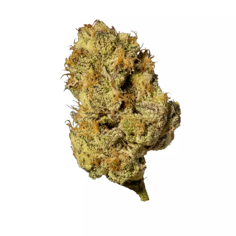 NICE 32/1 MBU – Produktbild des Anbieters Bloomwell