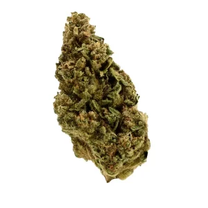 TRUU HS 21:01 – Produktbild des Anbieters Bloomwell