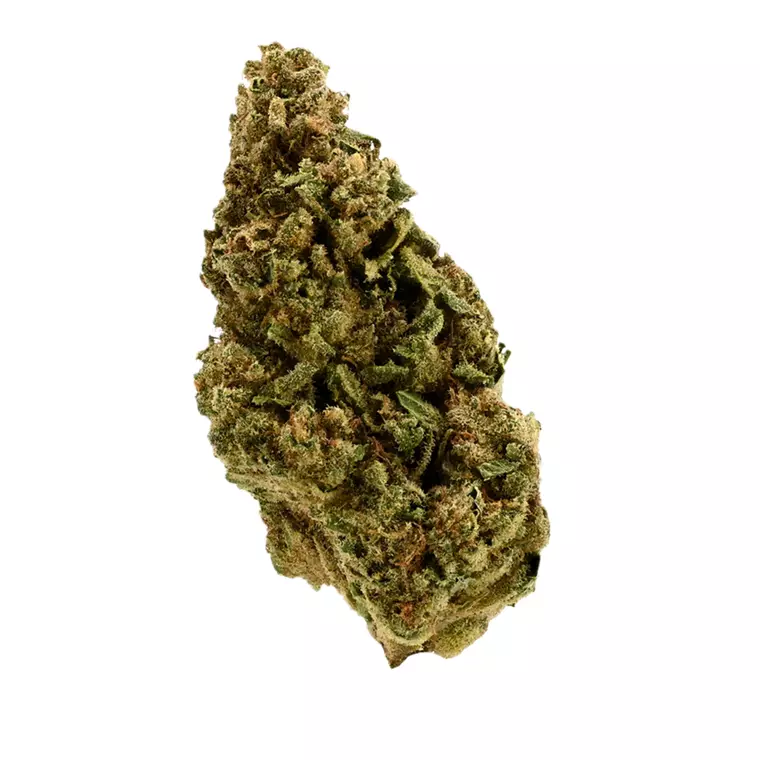 TRUU HS 21:01 – Produktbild des Anbieters Bloomwell