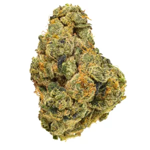 ZOIKS 26/1 UKCC – Produktbild des Anbieters Bloomwell