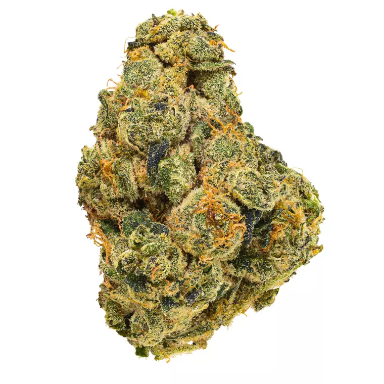 ZOIKS 26/1 UKCC – Produktbild des Anbieters Bloomwell