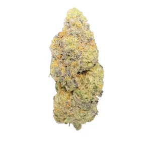 LIGHV Trails 32/1 GR – Produktbild des Anbieters Bloomwell