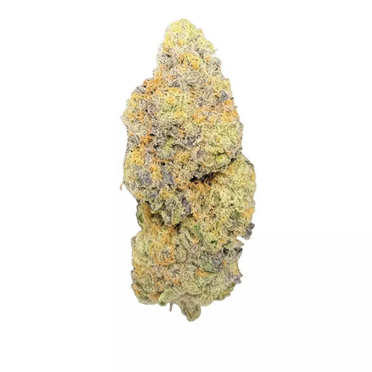 LIGHV Trails 32/1 GR – Produktbild des Anbieters Bloomwell