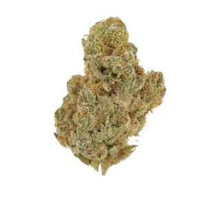 Cannamedical Indica forte BC – Produktbild des Anbieters Bloomwell