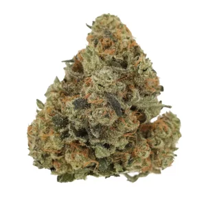 Luana 24/1 GSC – Produktbild des Anbieters Bloomwell