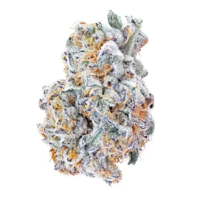 Avaay Signature 23/1 BYY – Produktbild des Anbieters Bloomwell