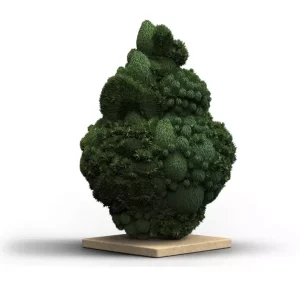 Canify 23/1 ES Ku. DP – Produktbild des Anbieters Bloomwell