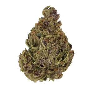 Luana 20/1 TROPIC – Produktbild des Anbieters Bloomwell
