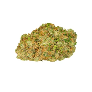 PEDANIOS 20/1 GTH-CA – Produktbild des Anbieters Bloomwell