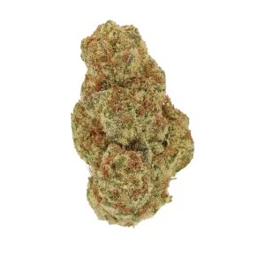 Luana 20/1 PCK – Produktbild des Anbieters Bloomwell