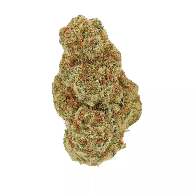 Luana 20/1 PCK – Produktbild des Anbieters Bloomwell
