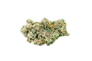 Avaay Signature 29/1 LEM – Produktbild des Anbieters Bloomwell