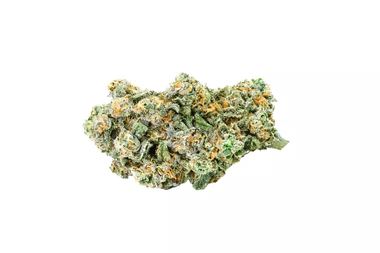 Avaay Signature 29/1 LEM – Produktbild des Anbieters Bloomwell