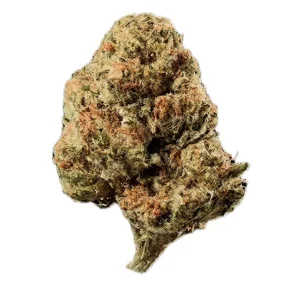 Huala 22/1 CA OSB – Produktbild des Anbieters Bloomwell