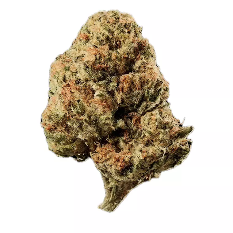Huala 22/1 CA OSB – Produktbild des Anbieters Bloomwell