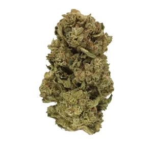 Luana 20/1 STAR – Produktbild des Anbieters Bloomwell