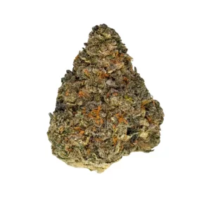 NICE 30/1 GCR – Produktbild des Anbieters Bloomwell