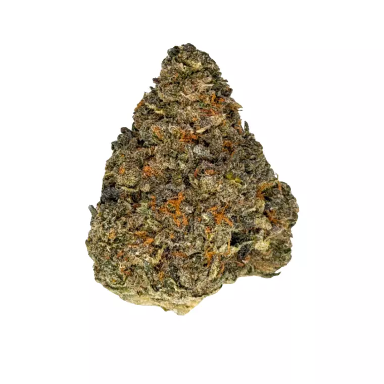 NICE 30/1 GCR – Produktbild des Anbieters Bloomwell