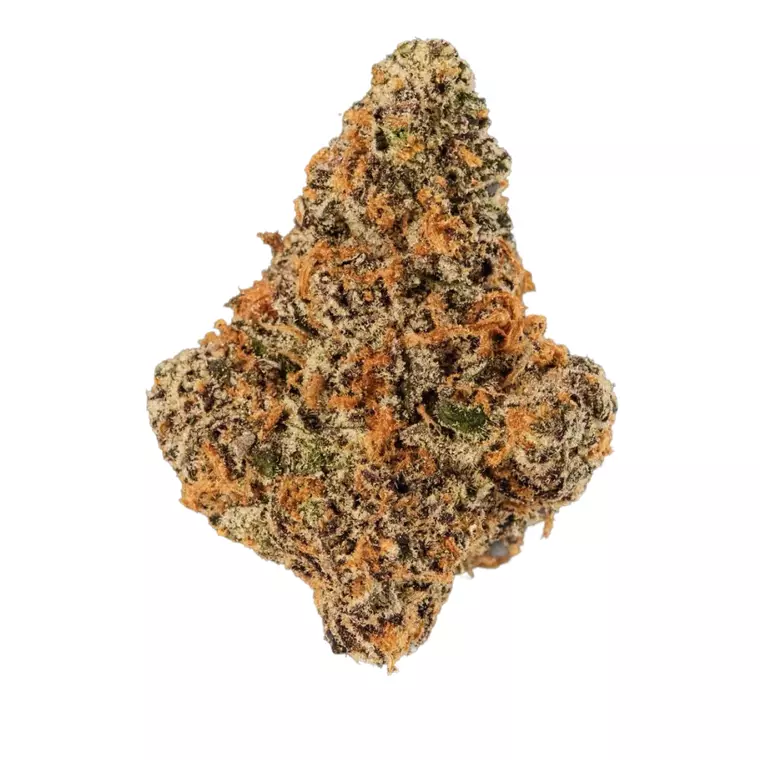 420 Evolution 27/1 CA MGD – Produktbild des Anbieters Bloomwell