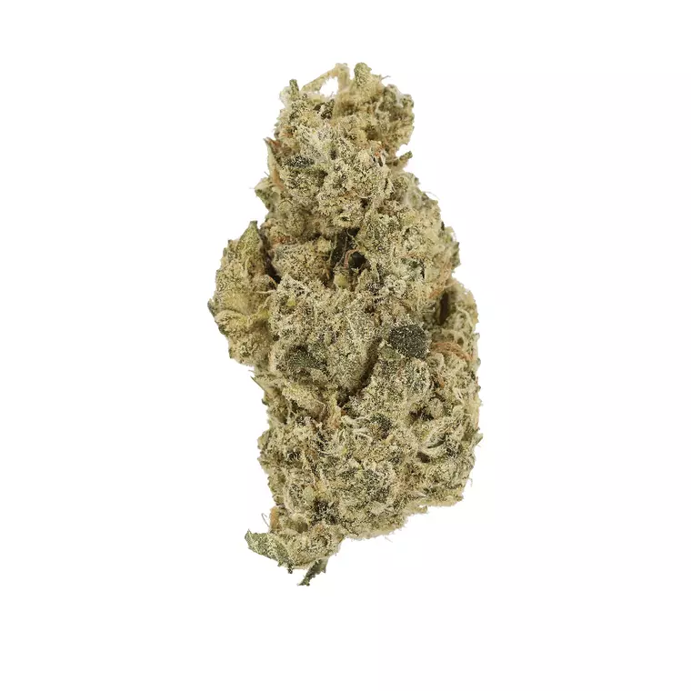 Luana 24/1 HMO – Produktbild des Anbieters Bloomwell