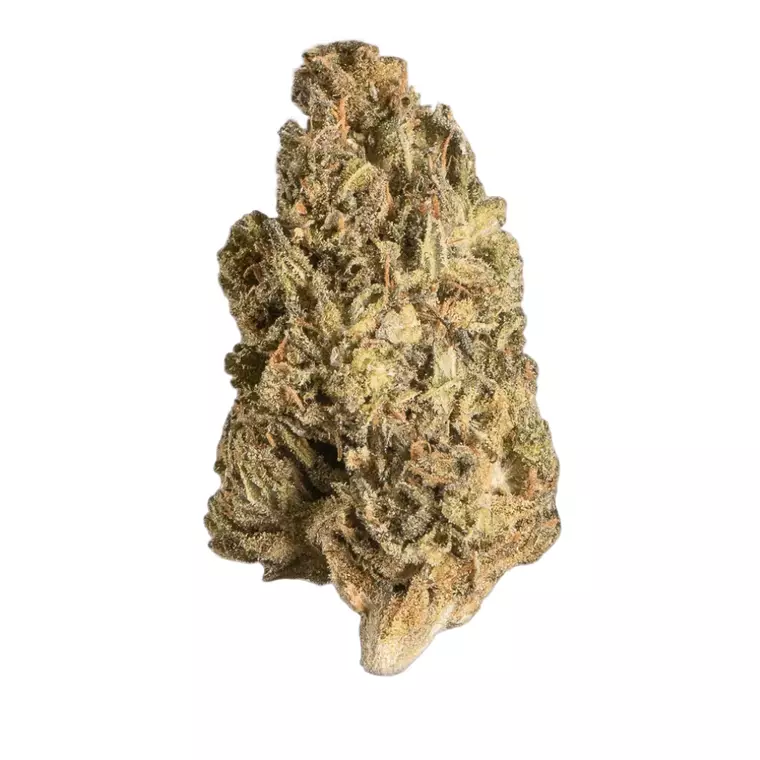 Care MIK THC23 – Produktbild des Anbieters Bloomwell
