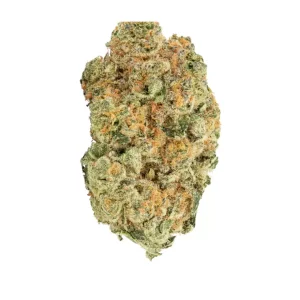 ZOIKS 26/1 MN – Produktbild des Anbieters Bloomwell