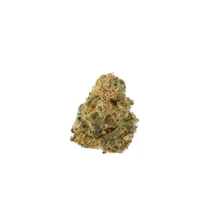 Cannamedical Sativa Classic NM – Produktbild des Anbieters Bloomwell