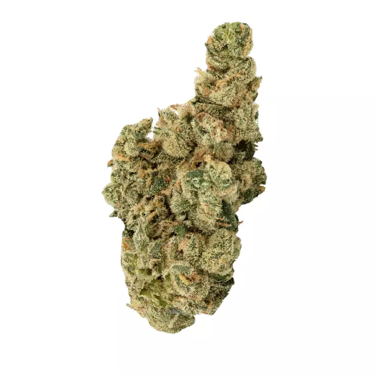 NICE 28/1 LK – Produktbild des Anbieters Bloomwell