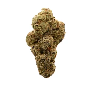 N!CE 18/1 MM – Produktbild des Anbieters Bloomwell