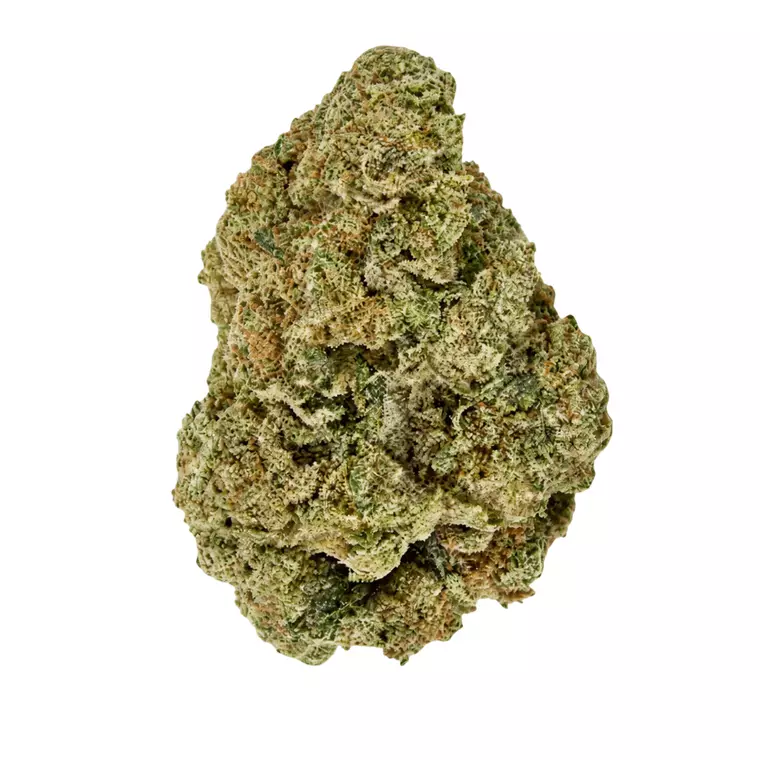 Coyote Valley 24/1 GPN – Produktbild des Anbieters Bloomwell