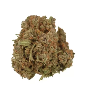 Cannamedical Indica Forte DK – Produktbild des Anbieters Bloomwell