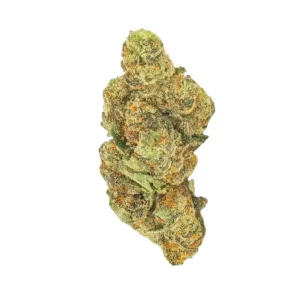 Daily Special 21/1 WED – Produktbild des Anbieters Bloomwell