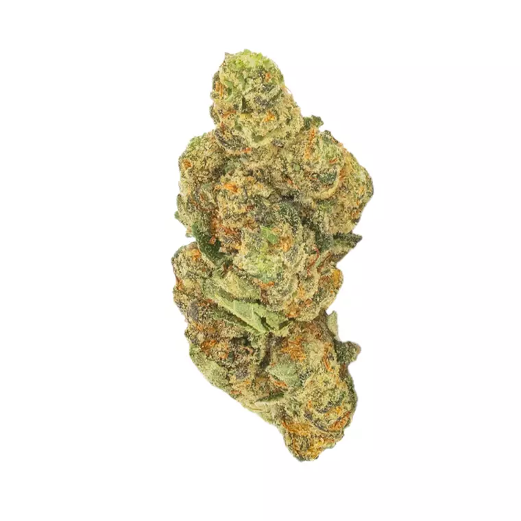 Daily Special 21/1 WED – Produktbild des Anbieters Bloomwell