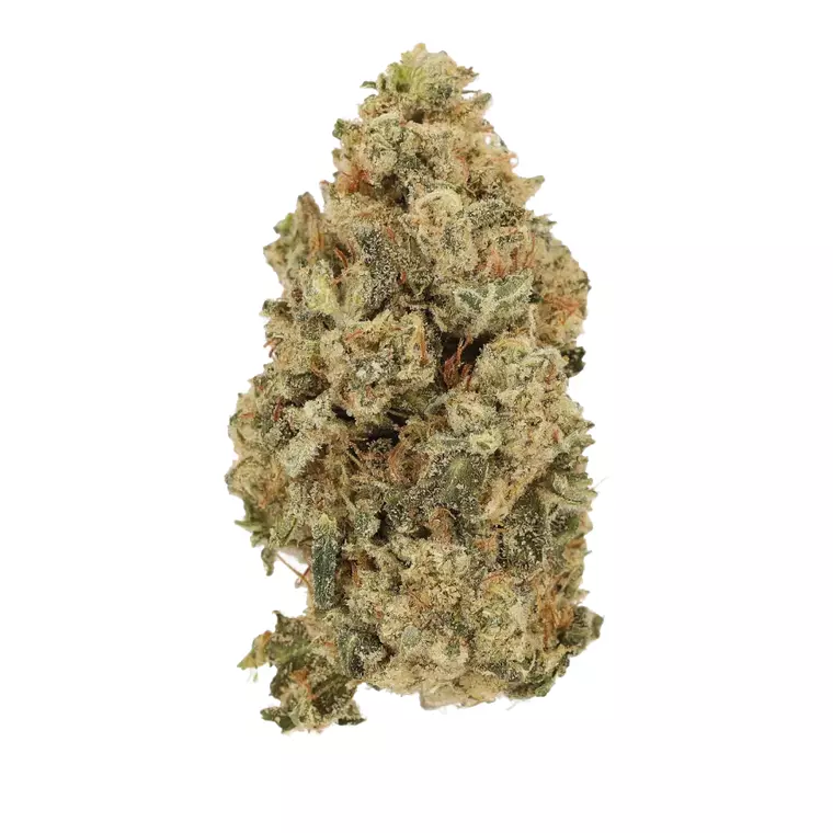 Luana 28/1 Durban – Produktbild des Anbieters Bloomwell