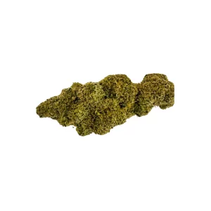 DrWatson 31 AM AUS – Produktbild des Anbieters Bloomwell