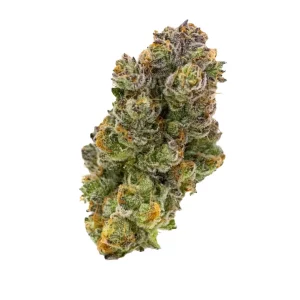 alephSana red 30/1 – Produktbild des Anbieters Bloomwell