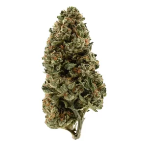 Demecan PS Strong Drop – Produktbild des Anbieters Bloomwell