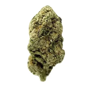 ZOIKS 22/1 ALM – Produktbild des Anbieters Bloomwell