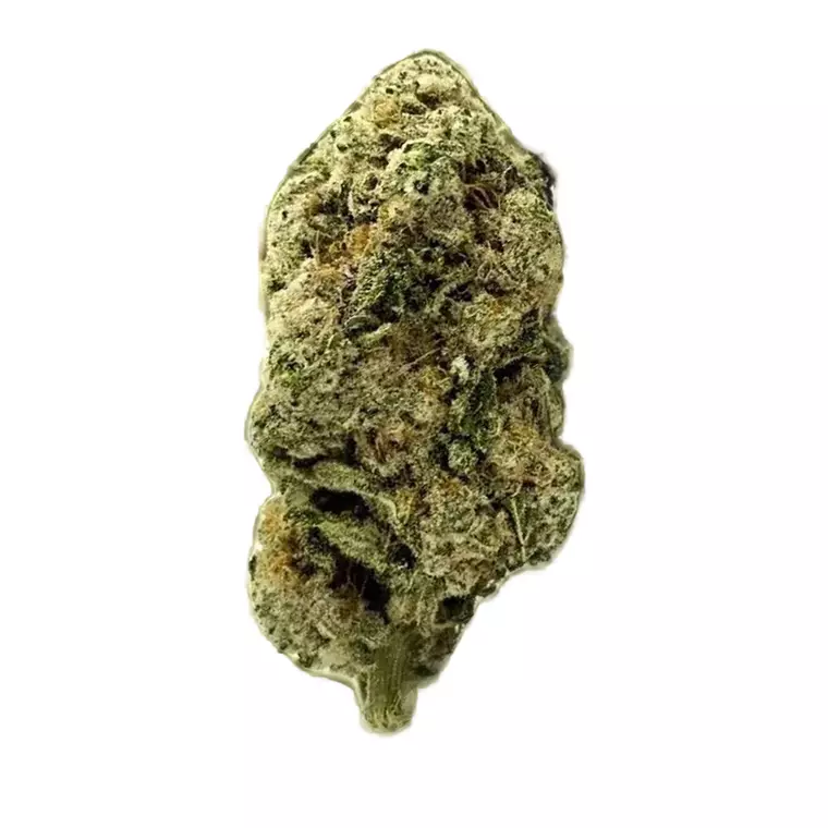 ZOIKS 22/1 ALM – Produktbild des Anbieters Bloomwell