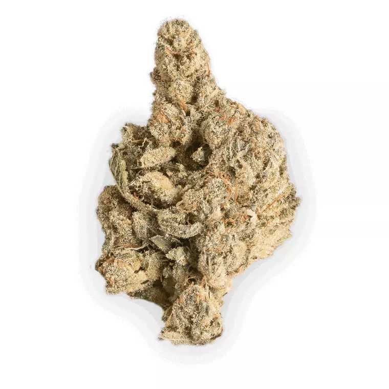420 Natural 22/1 CA GG4 – Produktbild des Anbieters Bloomwell
