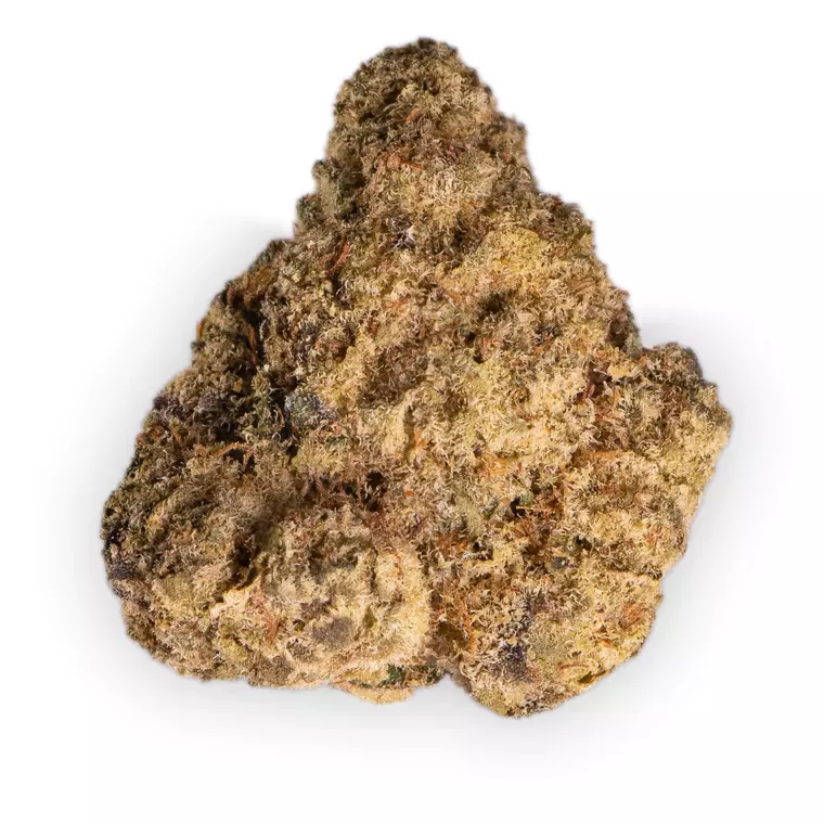 LOT 420 OC – Produktbild des Anbieters Bloomwell