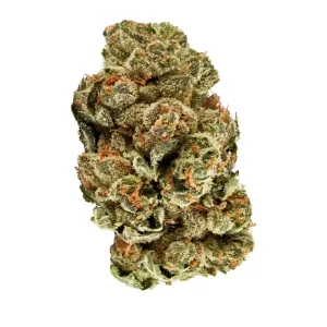 enua 27/1 GLZ CA – Produktbild des Anbieters Bloomwell