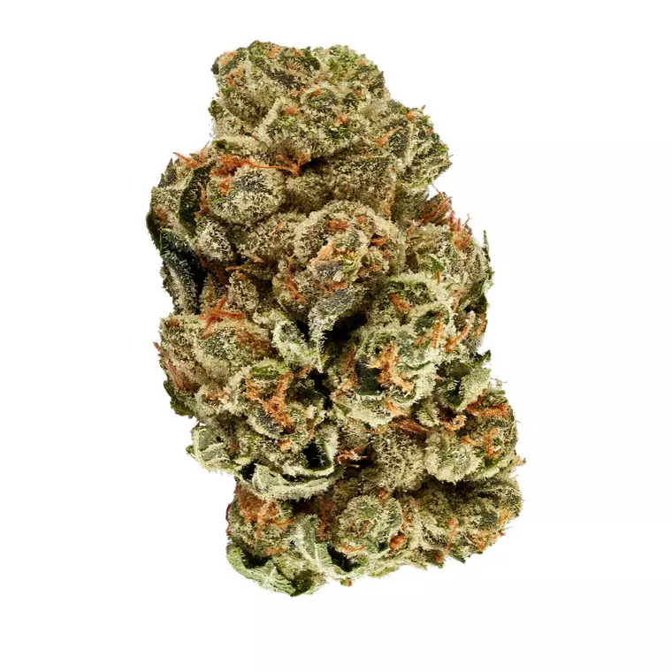enua 27/1 GLZ CA – Produktbild des Anbieters Bloomwell