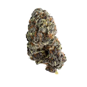 NICE 24/1 GP – Produktbild des Anbieters Bloomwell