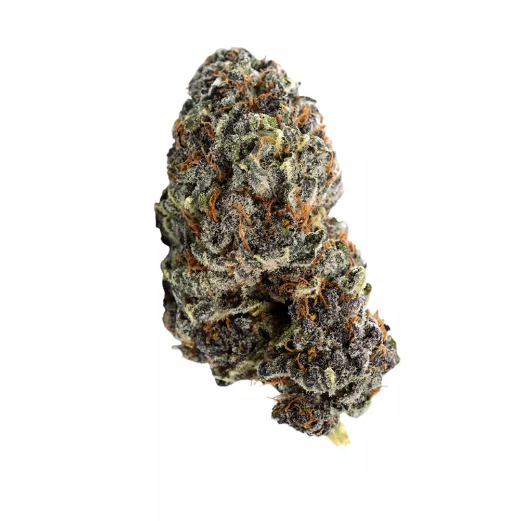 NICE 24/1 GP – Produktbild des Anbieters Bloomwell