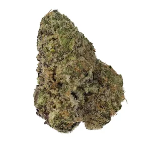 Cannamedical Sativa Forte NM – Produktbild des Anbieters Bloomwell